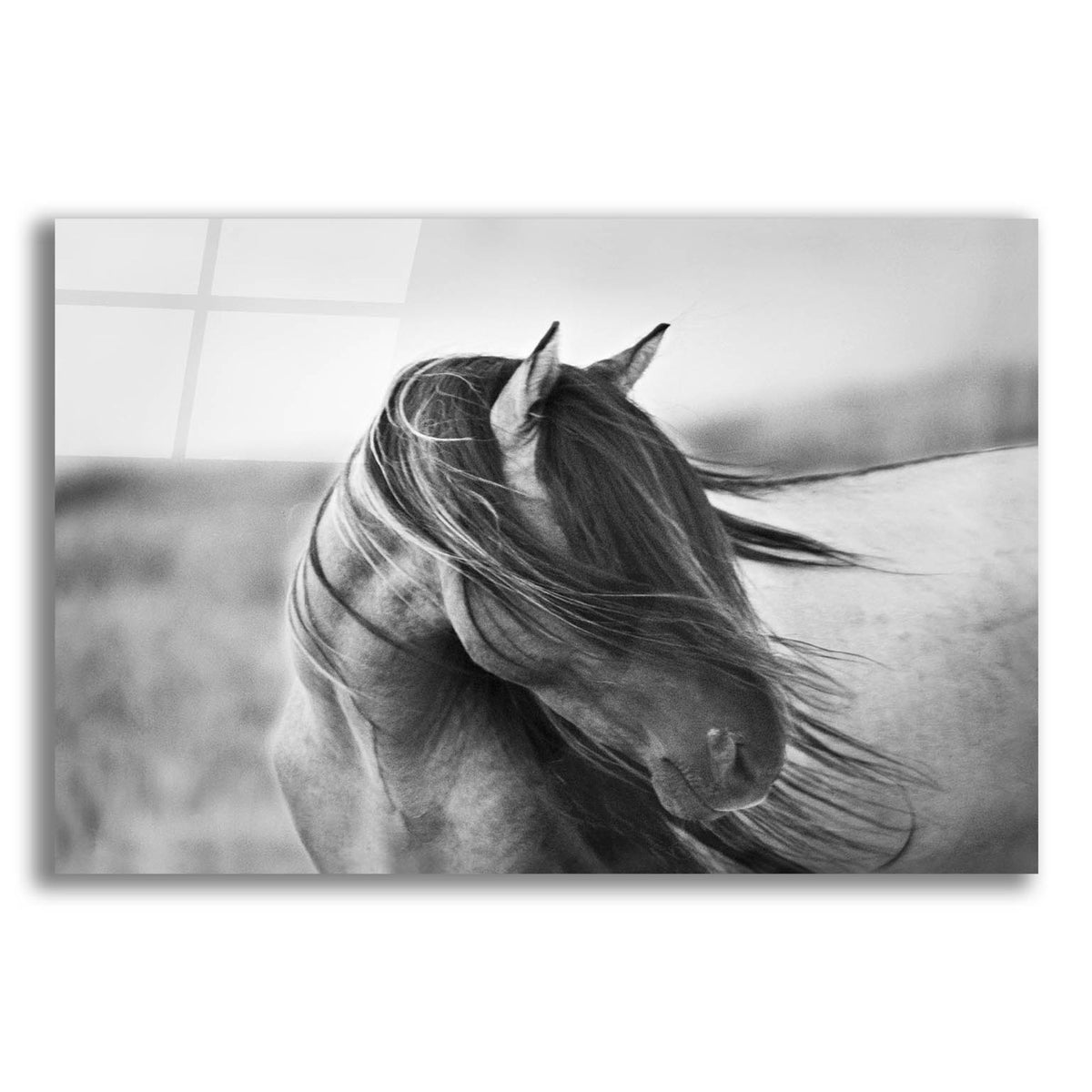 Epic Art ' Fierce Grace' by Tony Stromberg, Acrylic Glass Wall Art