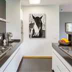Epic Art ' Pale Eyed Stallion' by Traer Scott, Acrylic Glass Wall Art,24x36