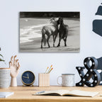 Epic Art ' Young Mustangs on Beach' by Traer Scott, Acrylic Glass Wall Art,16x12