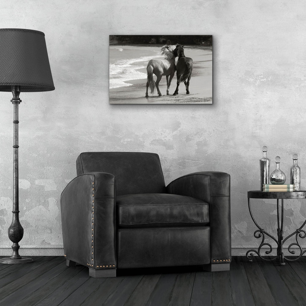 Epic Art ' Young Mustangs on Beach' by Traer Scott, Acrylic Glass Wall Art,24x16