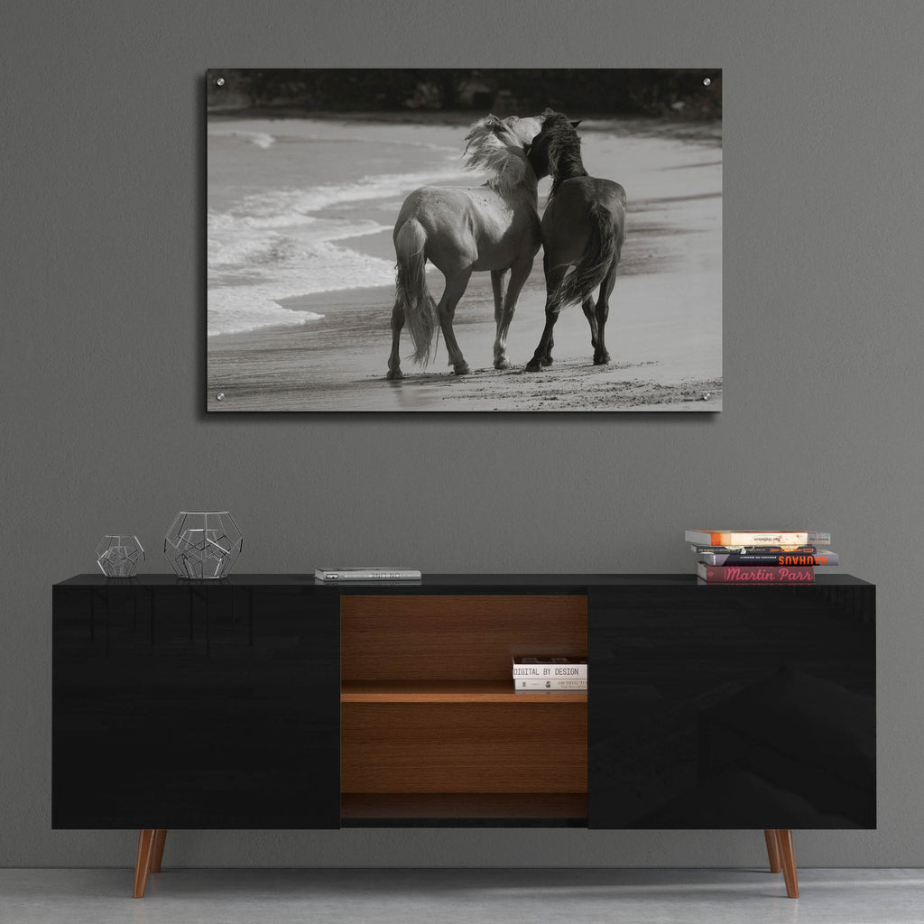 Epic Art ' Young Mustangs on Beach' by Traer Scott, Acrylic Glass Wall Art,36x24