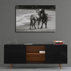 Epic Art ' Young Mustangs on Beach' by Traer Scott, Acrylic Glass Wall Art,36x24