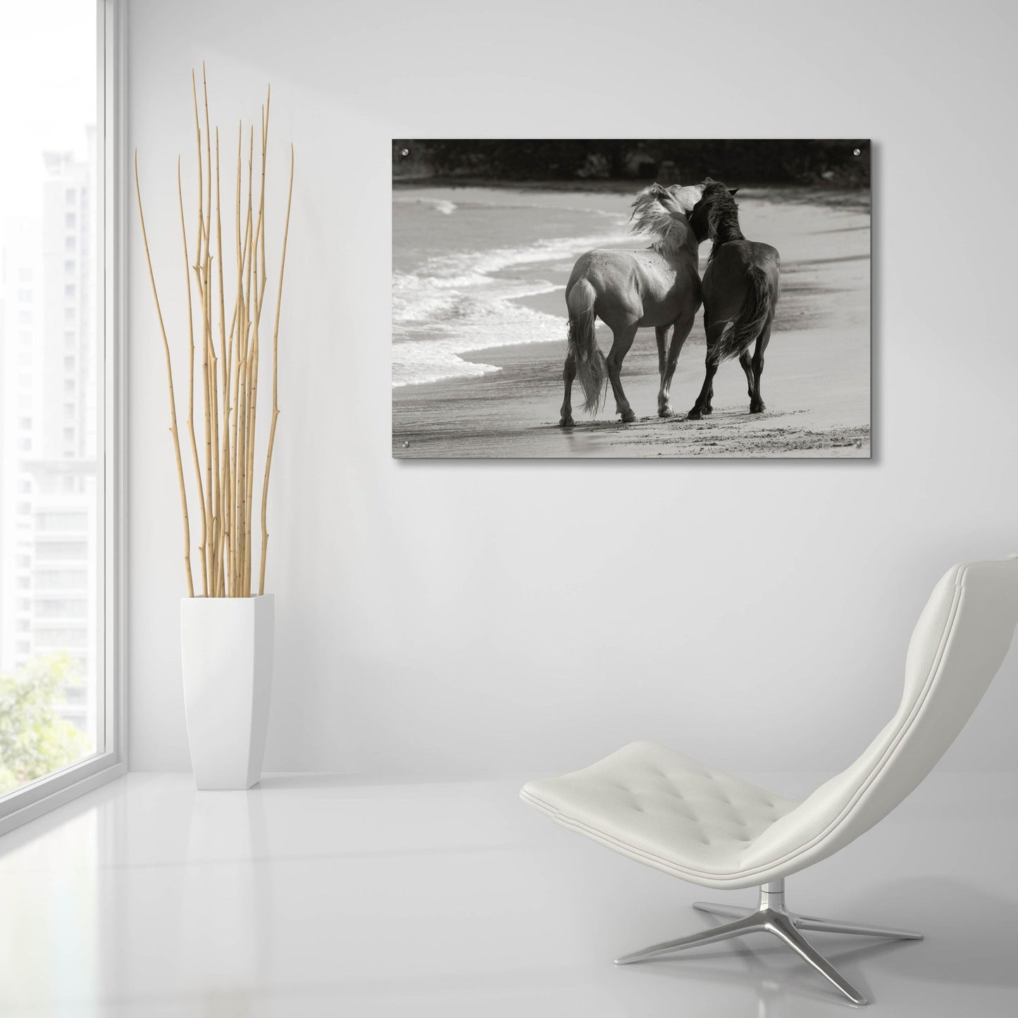Epic Art ' Young Mustangs on Beach' by Traer Scott, Acrylic Glass Wall Art,36x24