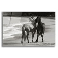 Epic Art ' Young Mustangs on Beach' by Traer Scott, Acrylic Glass Wall Art
