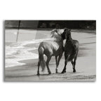 Epic Art ' Young Mustangs on Beach' by Traer Scott, Acrylic Glass Wall Art