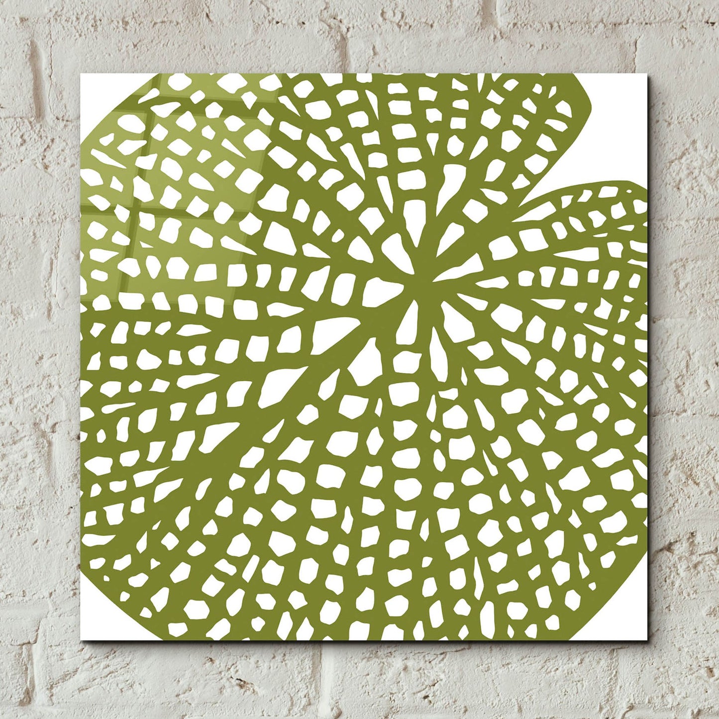 Epic Art ' Lilypad' by Trish Sierer, Acrylic Glass Wall Art,12x12