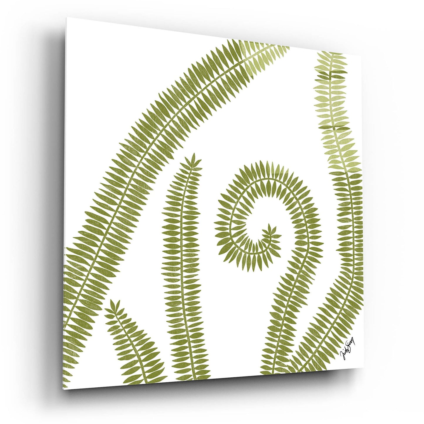 Epic Art ' Curly Fern' by Trish Sierer, Acrylic Glass Wall Art,12x12