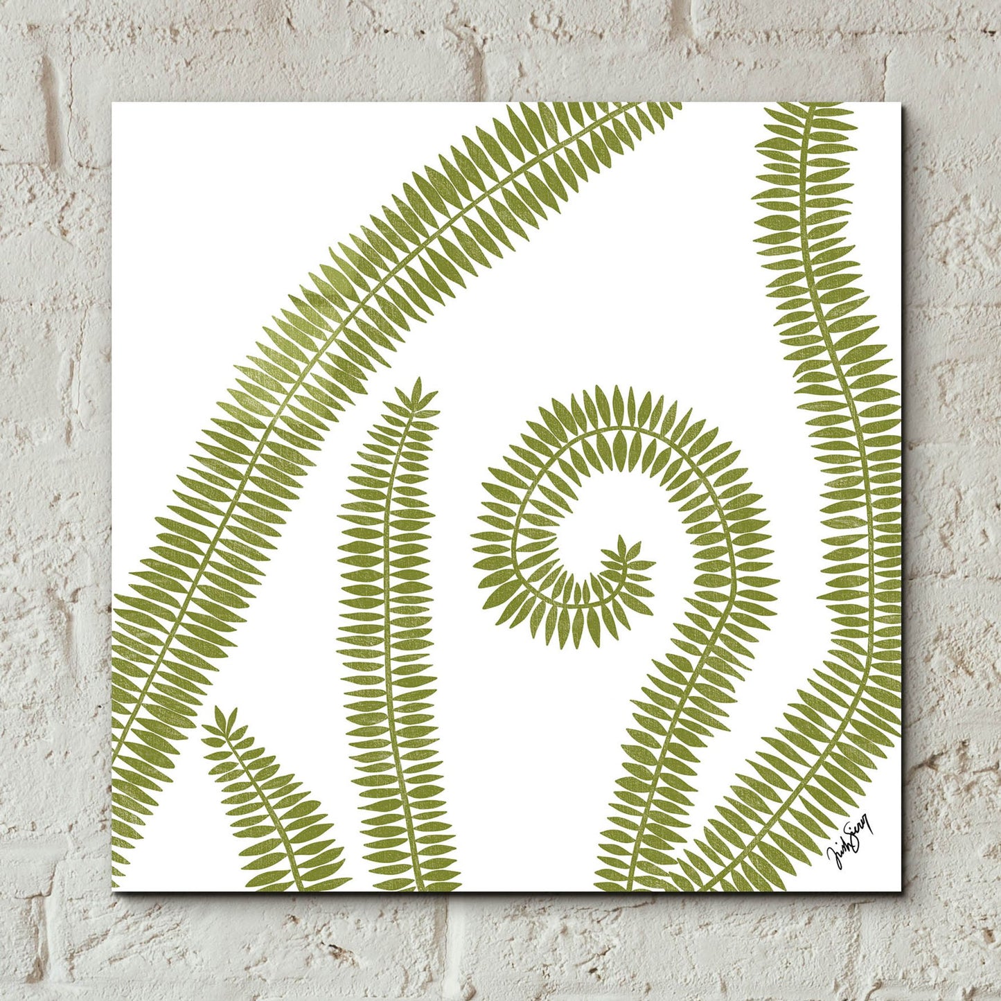 Epic Art ' Curly Fern' by Trish Sierer, Acrylic Glass Wall Art,12x12