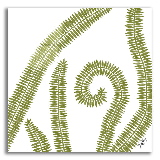 Epic Art ' Curly Fern' by Trish Sierer, Acrylic Glass Wall Art