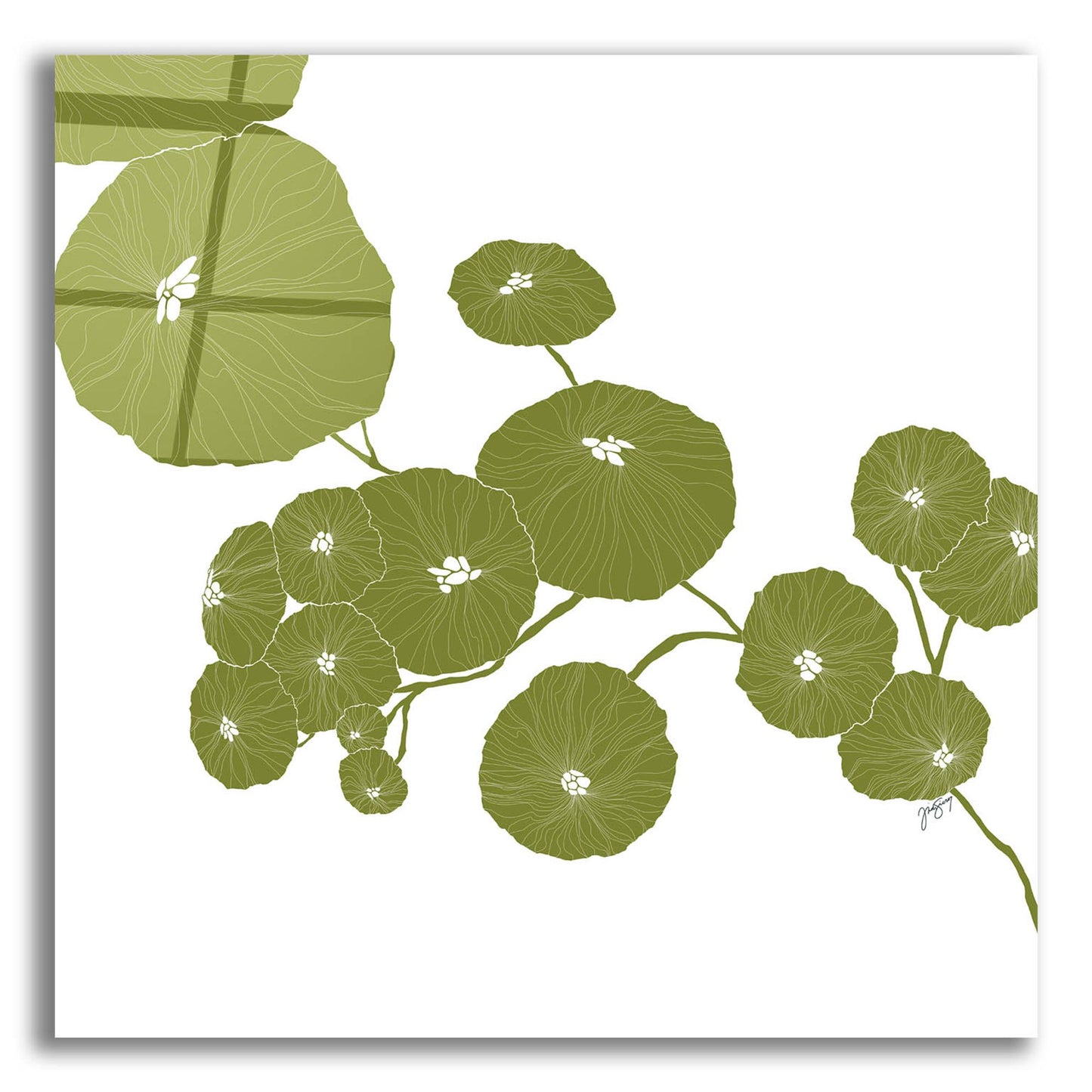 Epic Art ' Pilea' by Trish Sierer, Acrylic Glass Wall Art