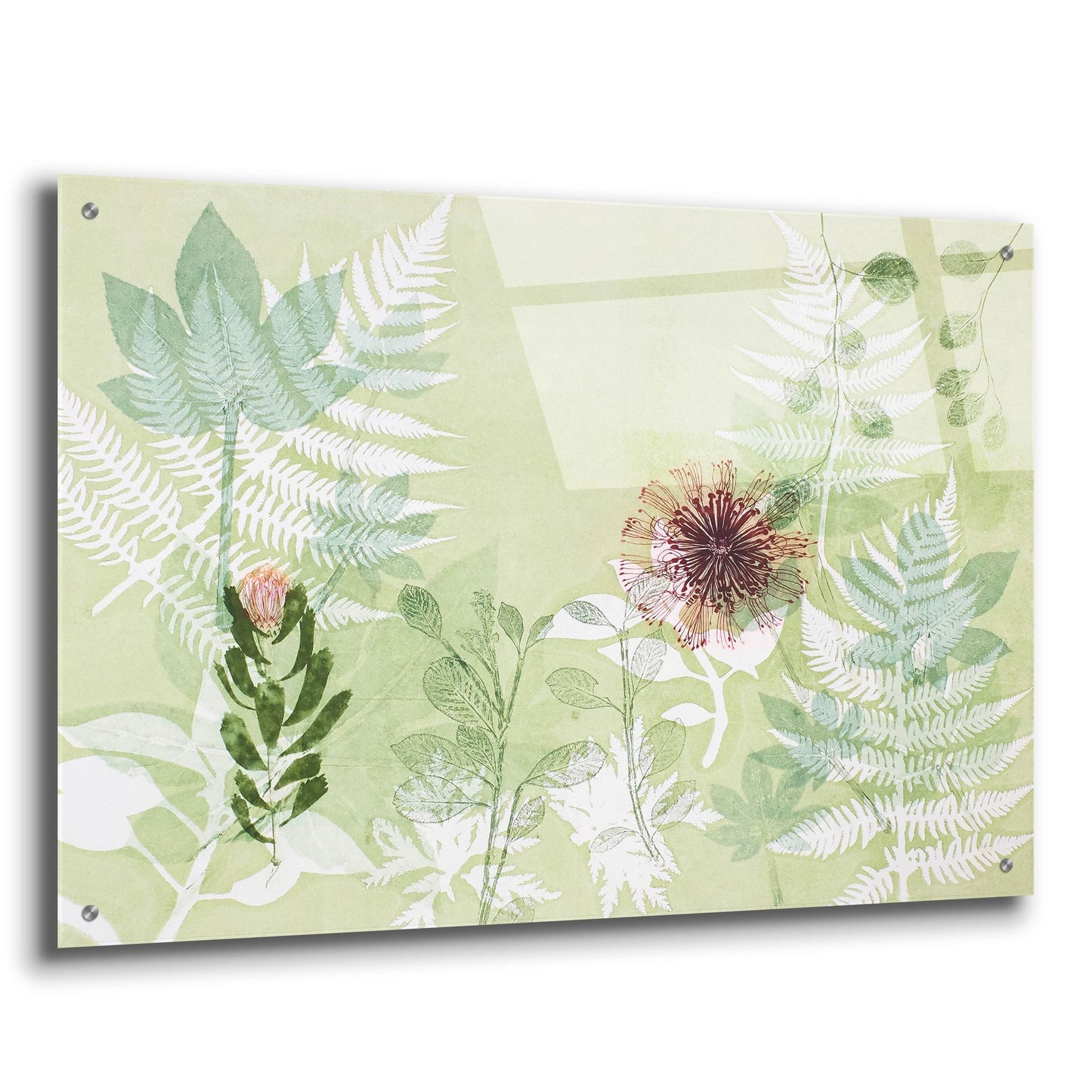 Epic Art ' A Myriad Celebration of Plants' by Trudy Rice, Acrylic Glass Wall Art,36x24