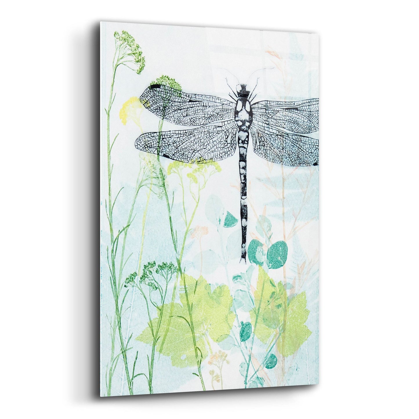 Epic Art ' Dragonfly And The Healing Plant' by Trudy Rice, Acrylic Glass Wall Art,12x16