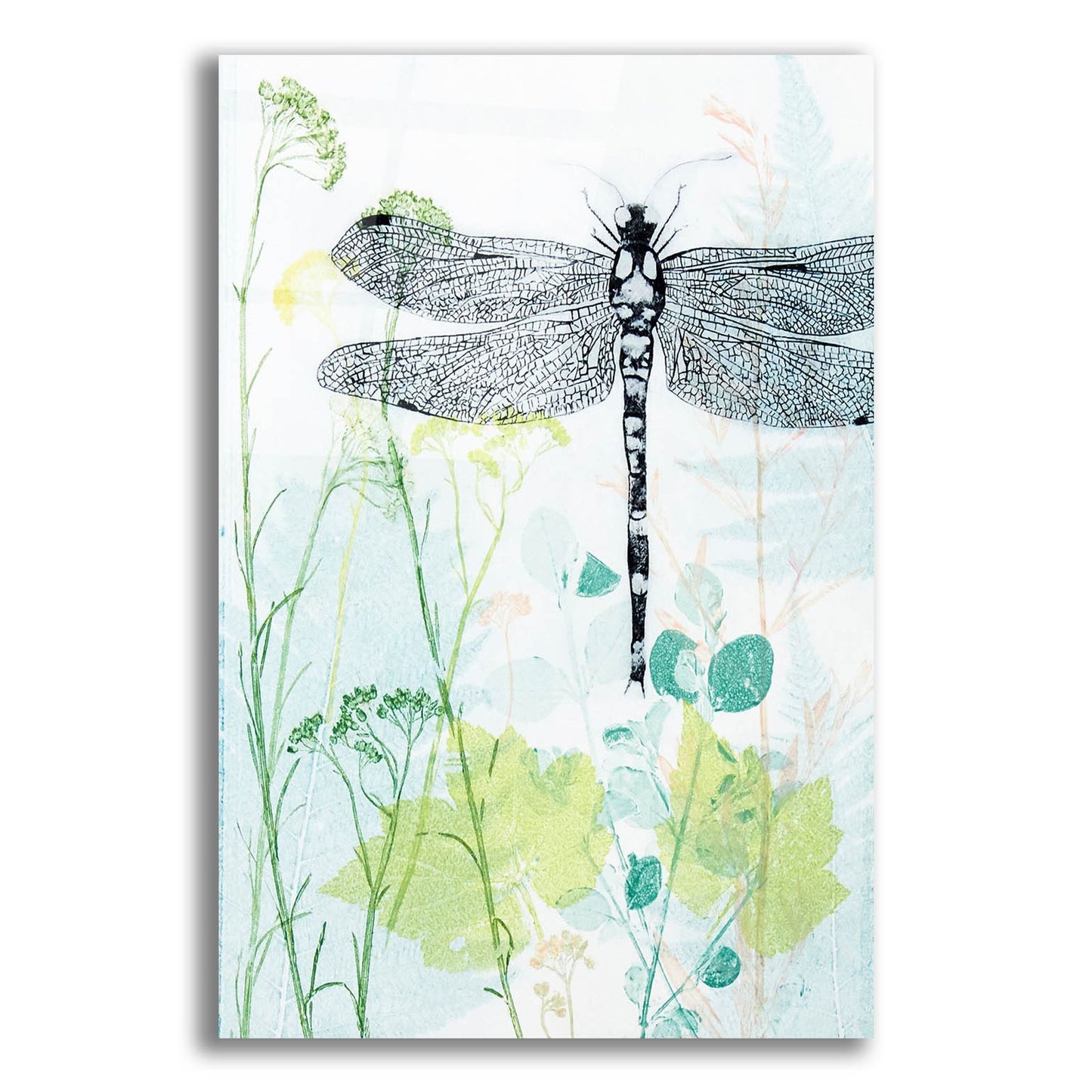 Epic Art ' Dragonfly And The Healing Plant' by Trudy Rice, Acrylic Glass Wall Art