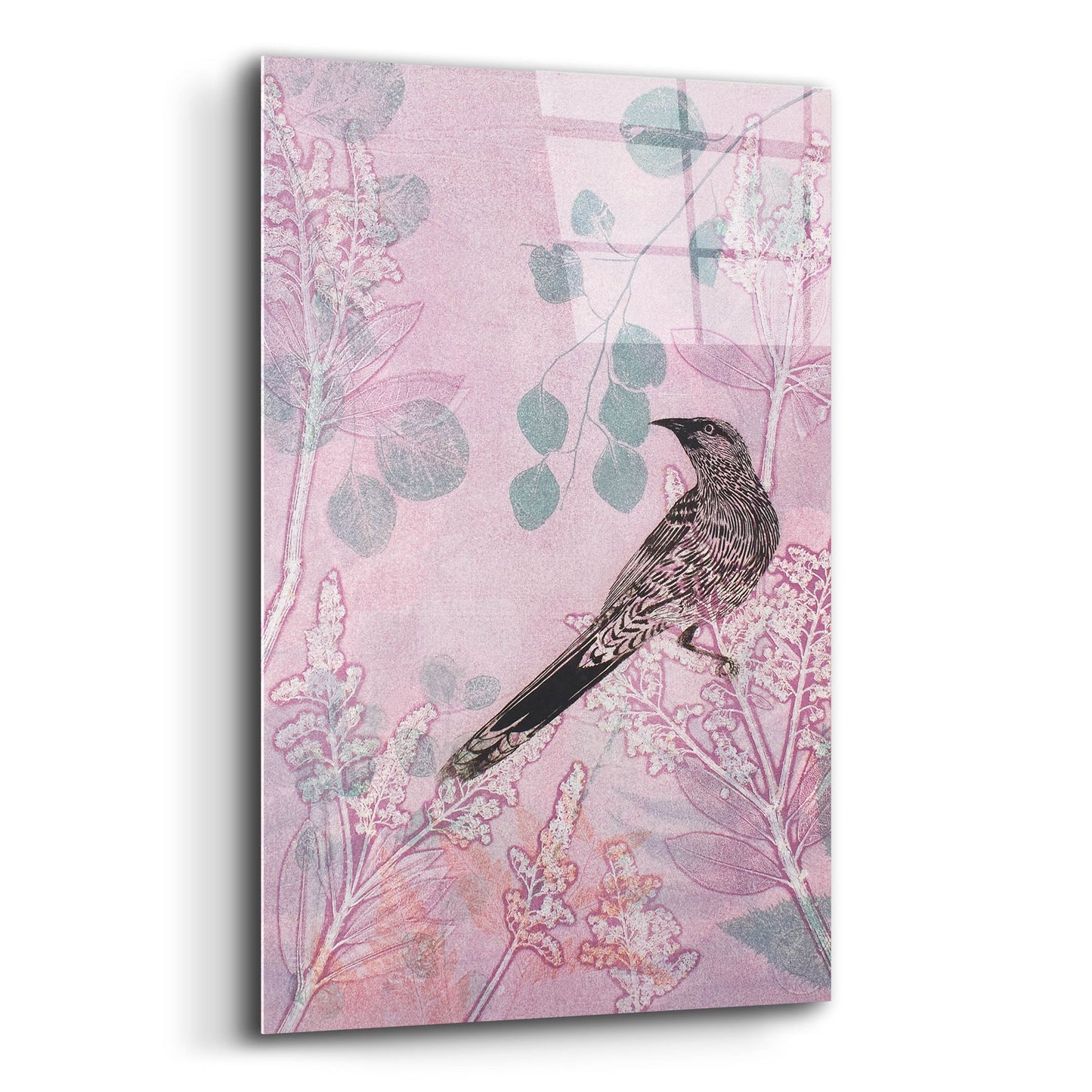 Epic Art ' Dusk Wattlebird in Pink' by Trudy Rice, Acrylic Glass Wall Art,12x16