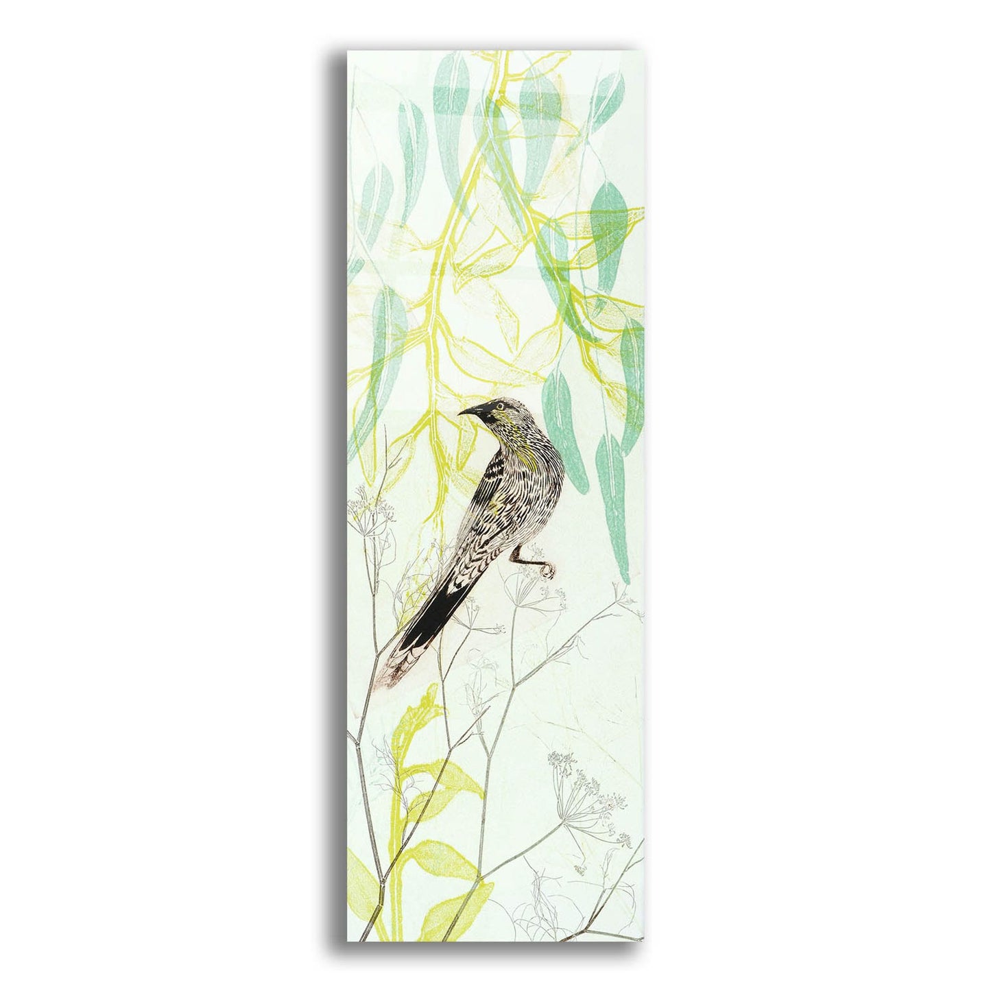 Epic Art ' Eager To Fly Wattlebird' by Trudy Rice, Acrylic Glass Wall Art