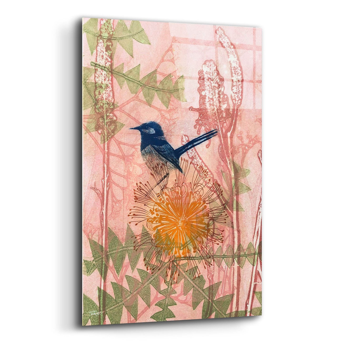 Epic Art ' Little Blue Wren' by Trudy Rice, Acrylic Glass Wall Art,12x16