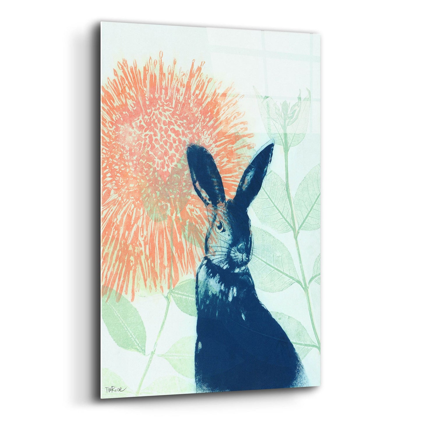 Epic Art ' Pink Waratah and Blue Rabbit' by Trudy Rice, Acrylic Glass Wall Art,12x16