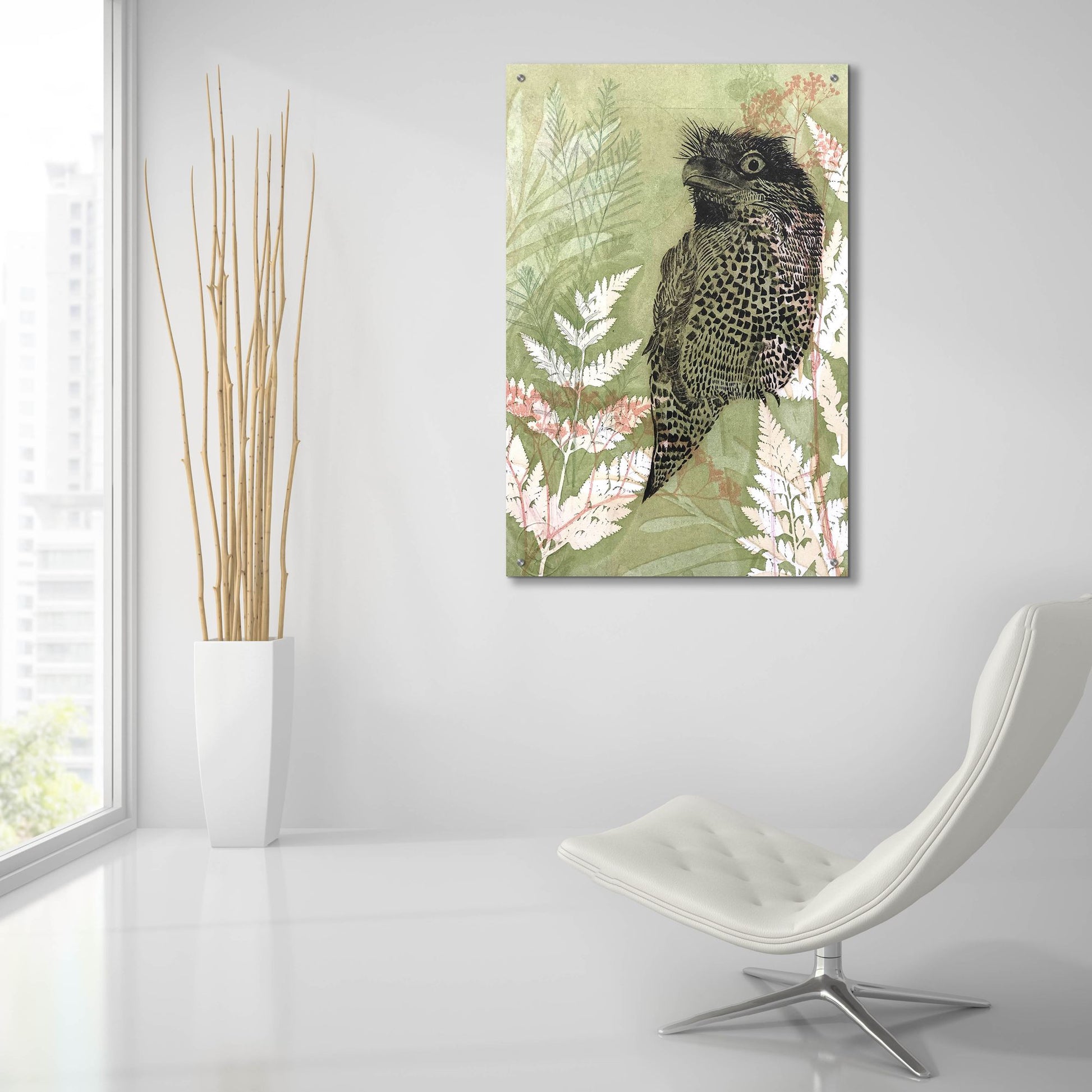 Epic Art ' Tawny Frog Mouth' by Trudy Rice, Acrylic Glass Wall Art,24x36