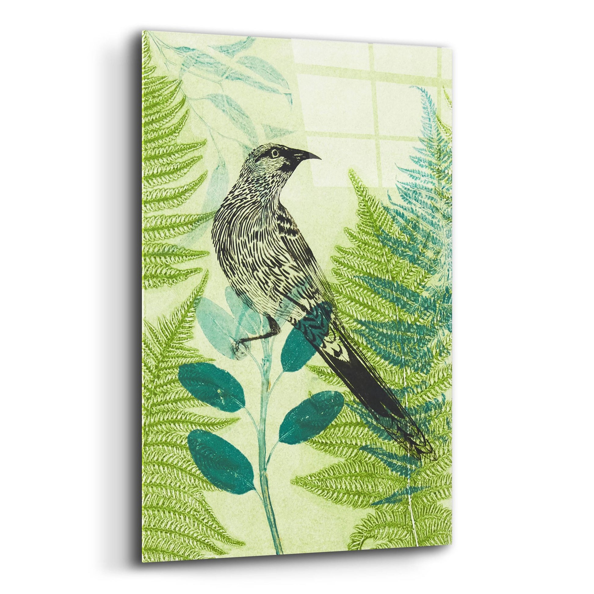 Epic Art ' Wattlebird Hiding in the Fernery' by Trudy Rice, Acrylic Glass Wall Art,12x16