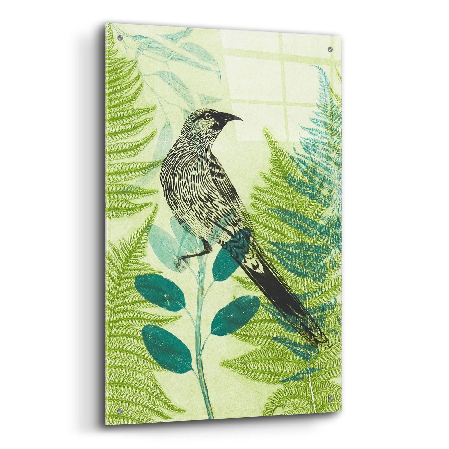 Epic Art ' Wattlebird Hiding in the Fernery' by Trudy Rice, Acrylic Glass Wall Art,24x36