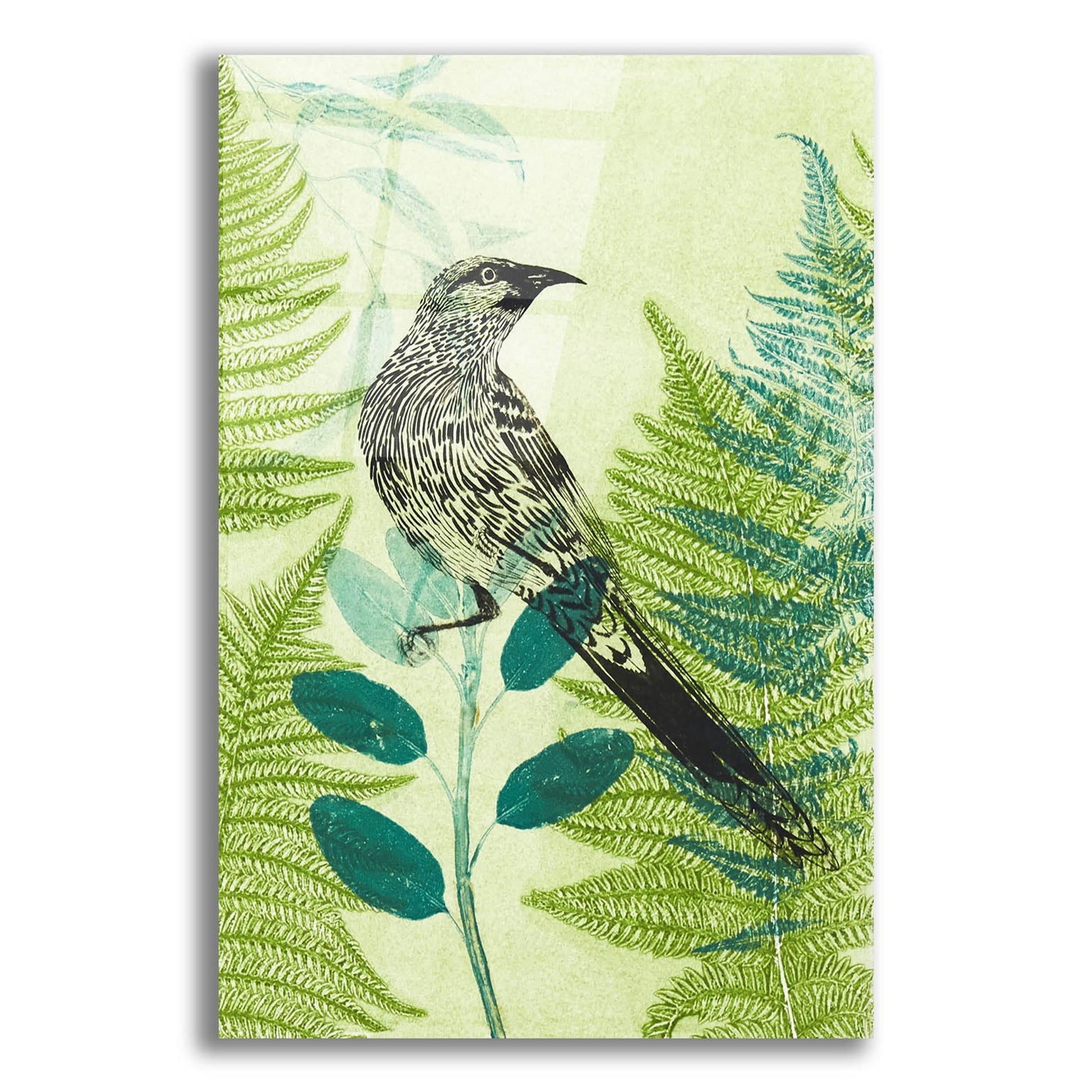 Epic Art ' Wattlebird Hiding in the Fernery' by Trudy Rice, Acrylic Glass Wall Art