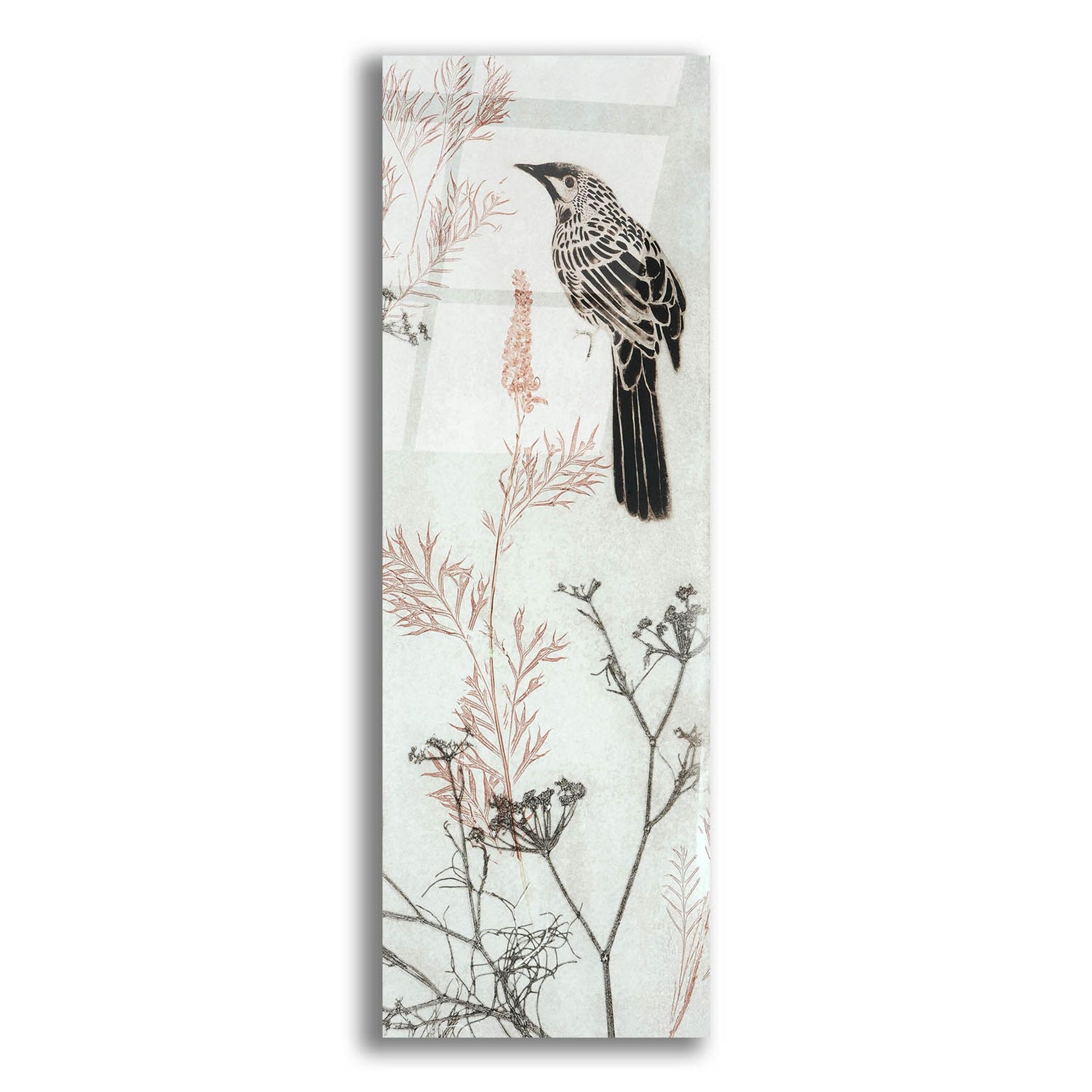 Epic Art ' Wattlebird Hovering In My Garden' by Trudy Rice, Acrylic Glass Wall Art