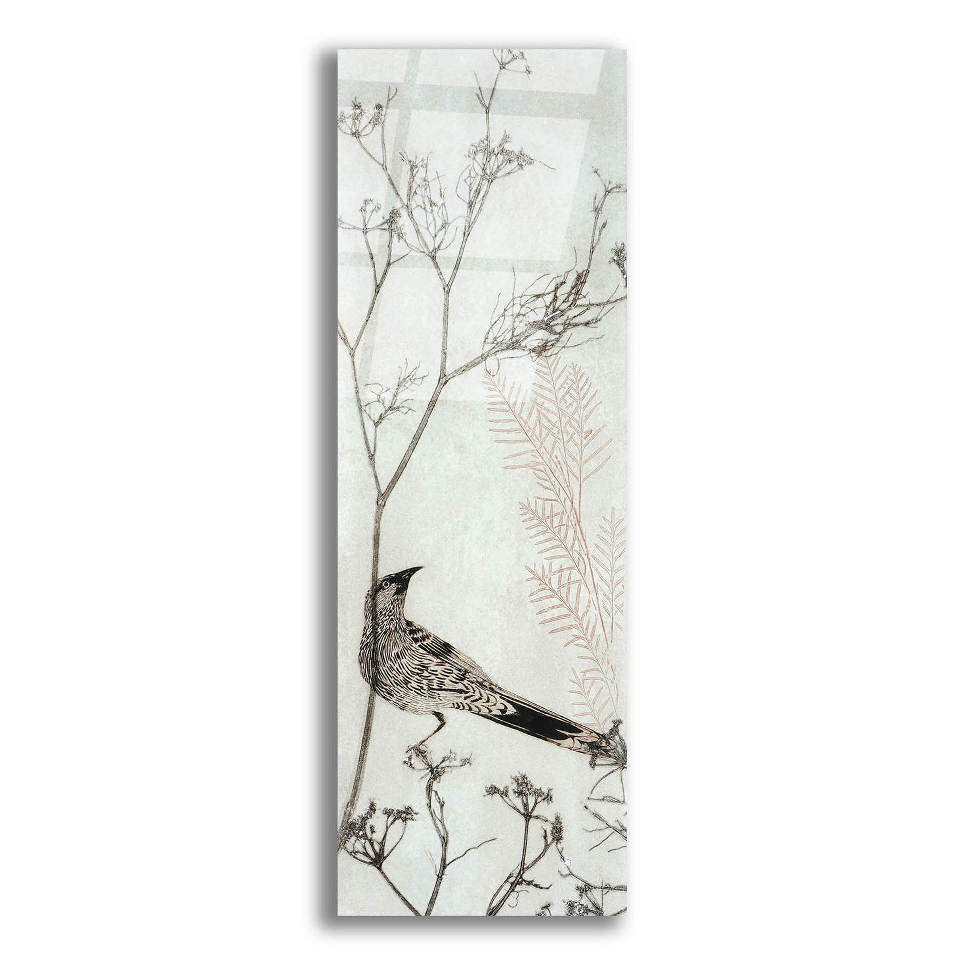 Epic Art ' Wattlebird Resting on a Branch' by Trudy Rice, Acrylic Glass Wall Art