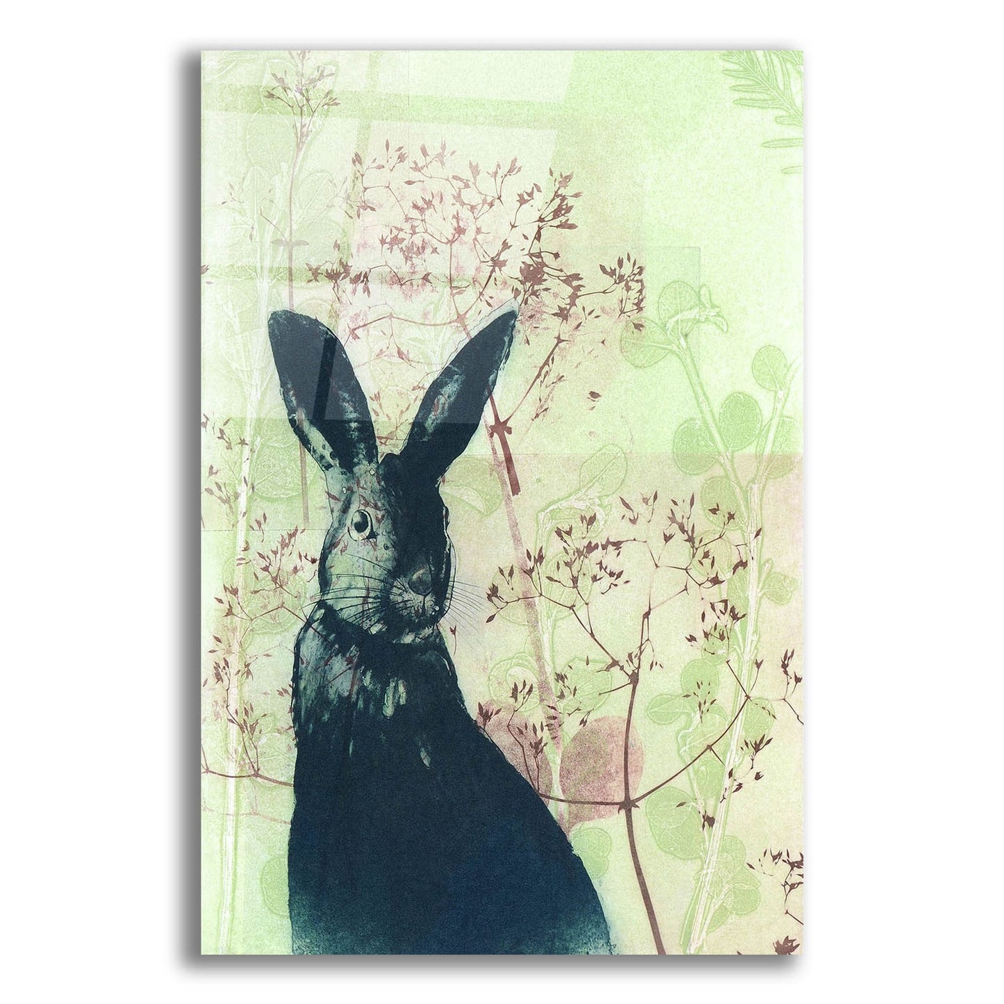 Epic Art ' Wild Rabbit' by Trudy Rice, Acrylic Glass Wall Art