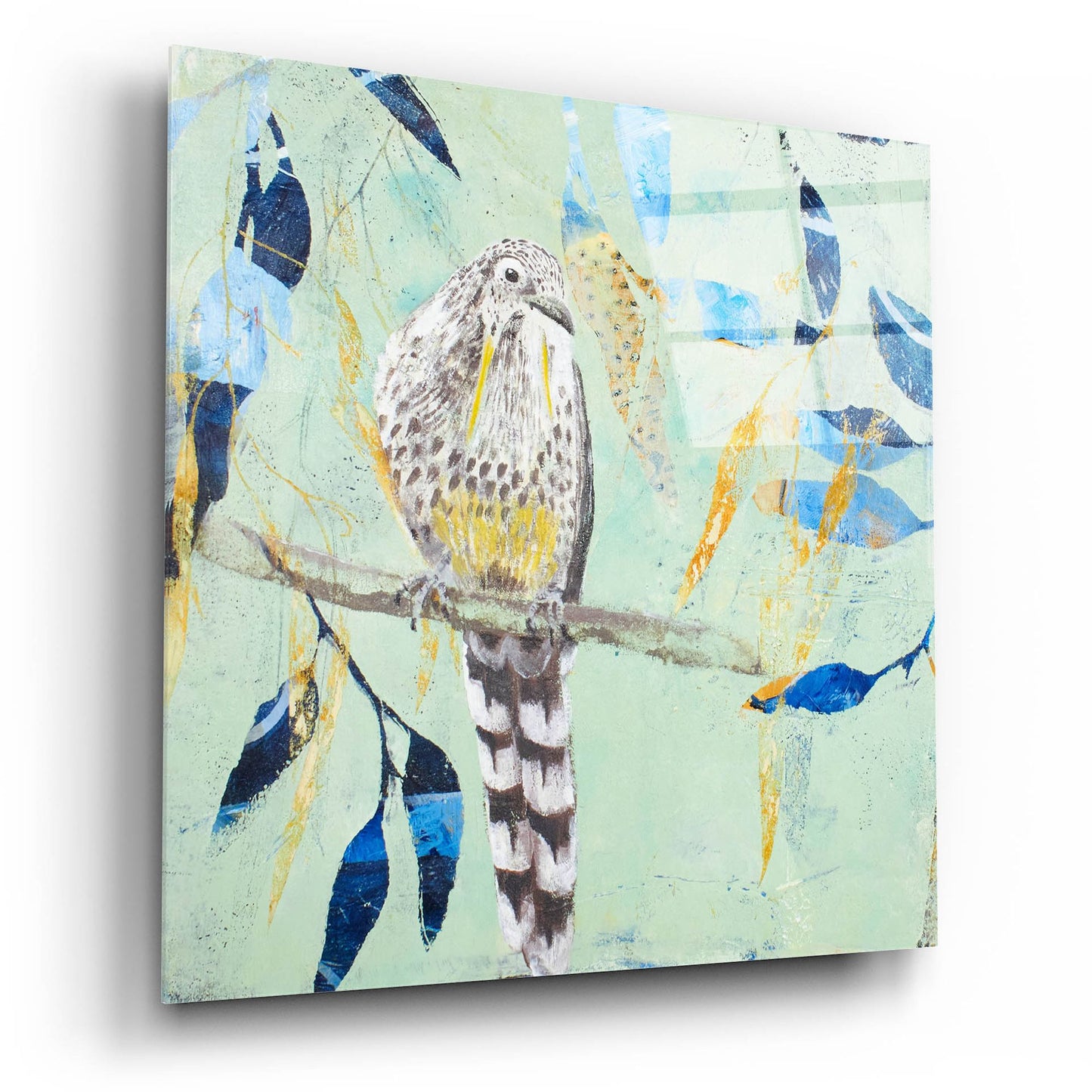 Epic Art ' A Thoughtful Wattlebird' by Trudy Rice, Acrylic Glass Wall Art,12x12