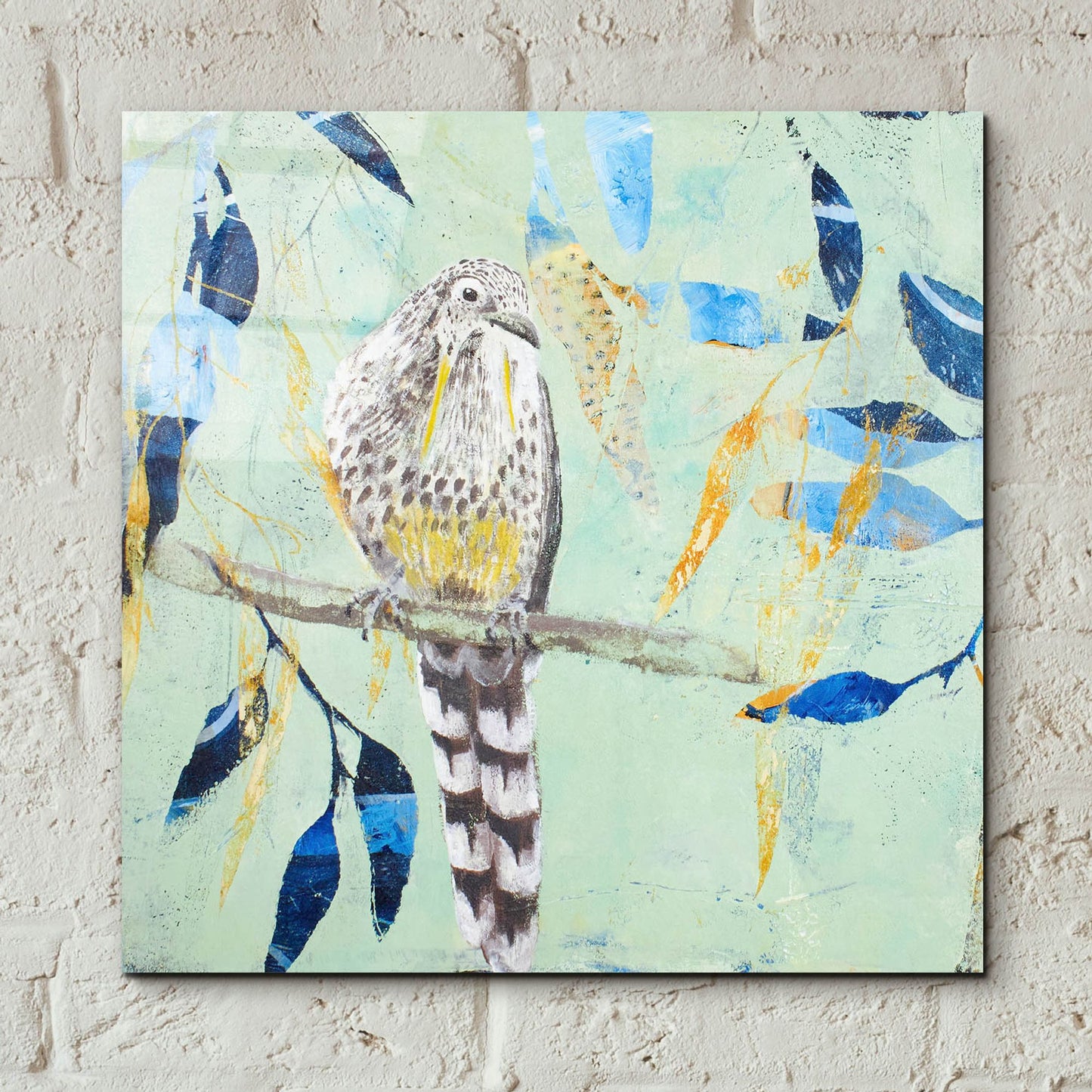 Epic Art ' A Thoughtful Wattlebird' by Trudy Rice, Acrylic Glass Wall Art,12x12