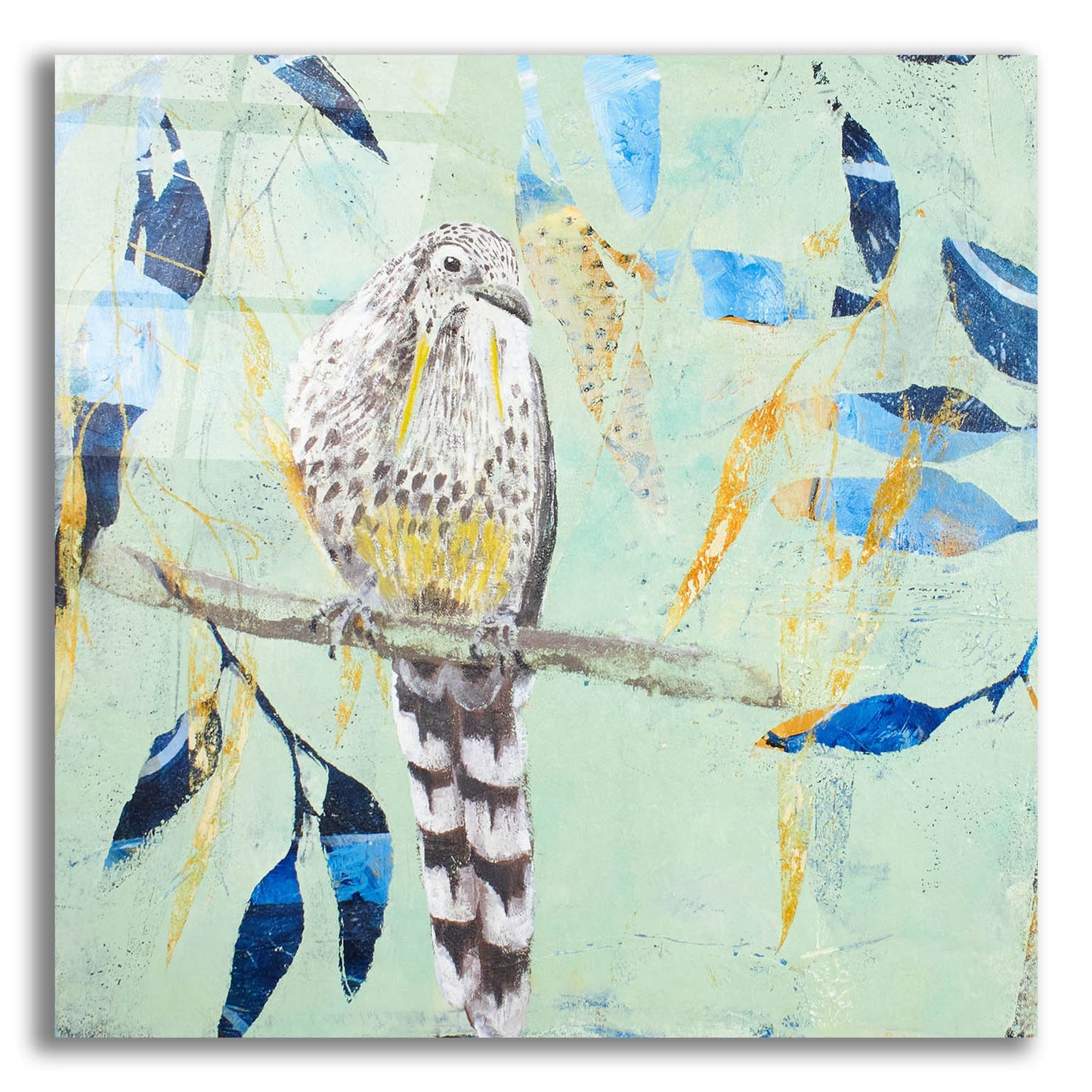 Epic Art ' A Thoughtful Wattlebird' by Trudy Rice, Acrylic Glass Wall Art