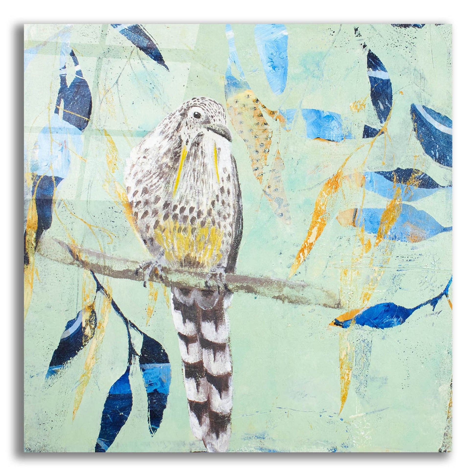 Epic Art ' A Thoughtful Wattlebird' by Trudy Rice, Acrylic Glass Wall Art