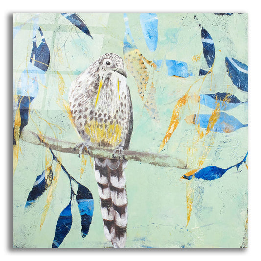 Epic Art ' A Thoughtful Wattlebird' by Trudy Rice, Acrylic Glass Wall Art