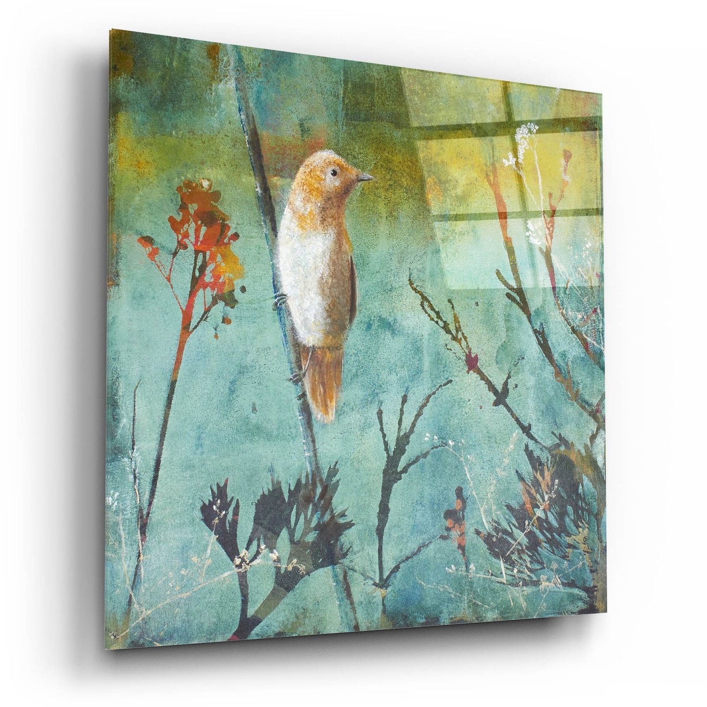 Epic Art ' Australian Reed Warbler' by Trudy Rice, Acrylic Glass Wall Art,12x12