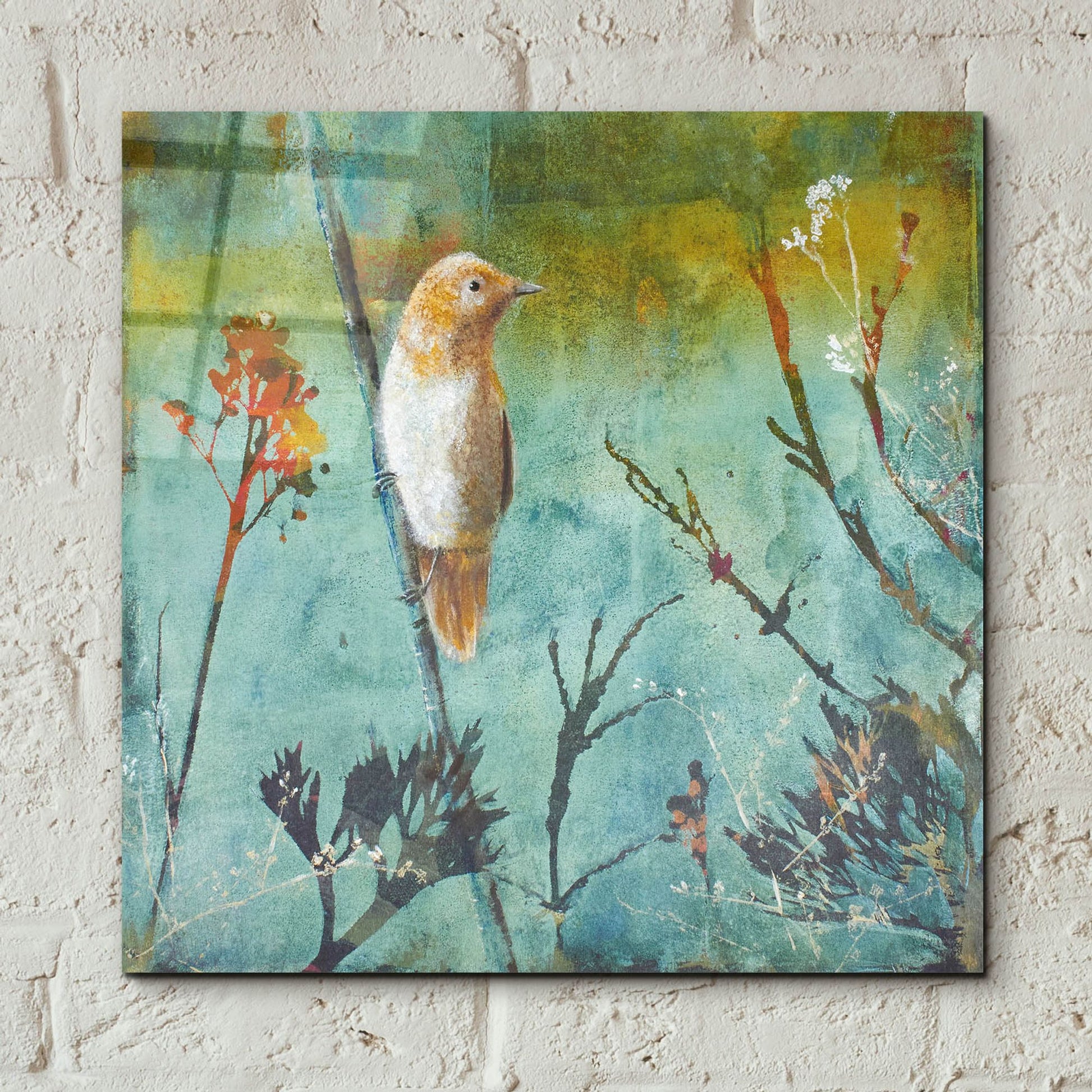 Epic Art ' Australian Reed Warbler' by Trudy Rice, Acrylic Glass Wall Art,12x12