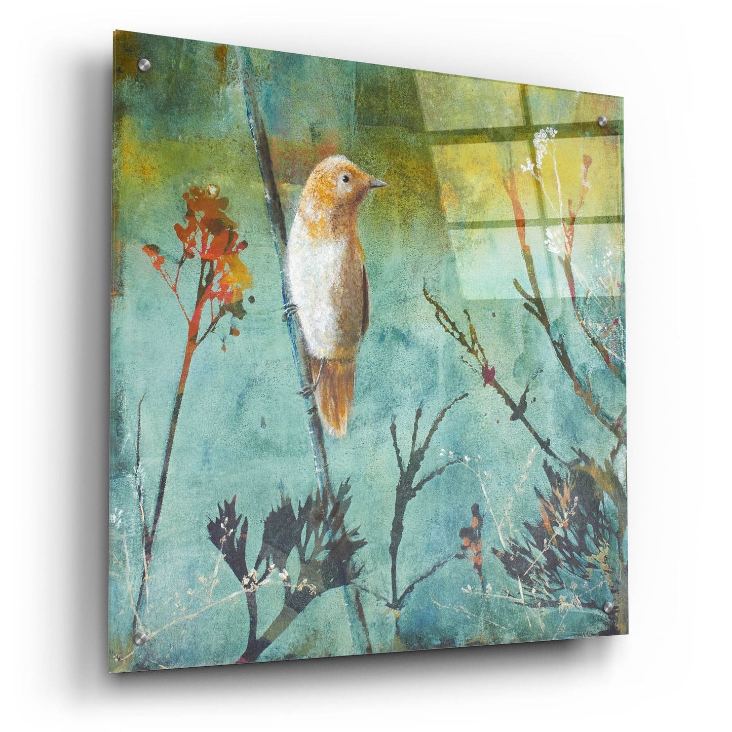 Epic Art ' Australian Reed Warbler' by Trudy Rice, Acrylic Glass Wall Art,24x24