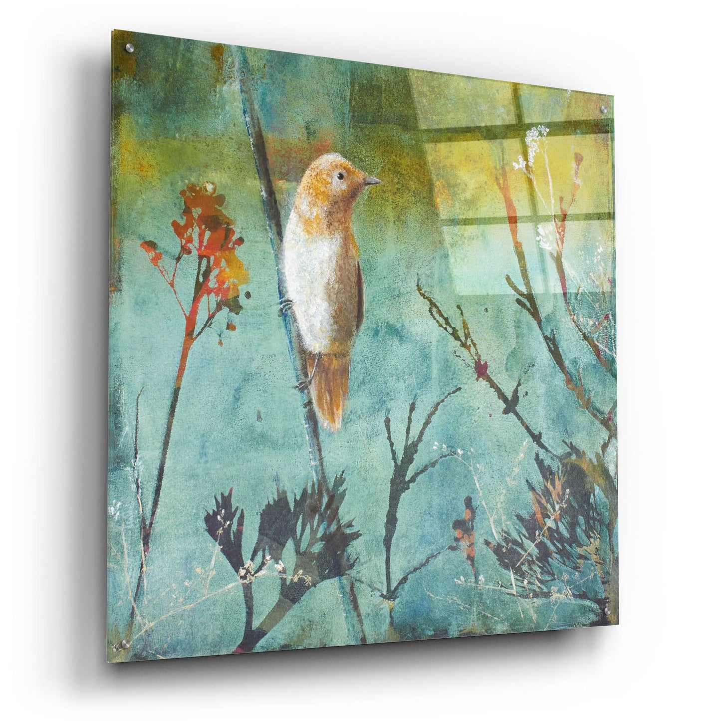 Epic Art ' Australian Reed Warbler' by Trudy Rice, Acrylic Glass Wall Art,36x36