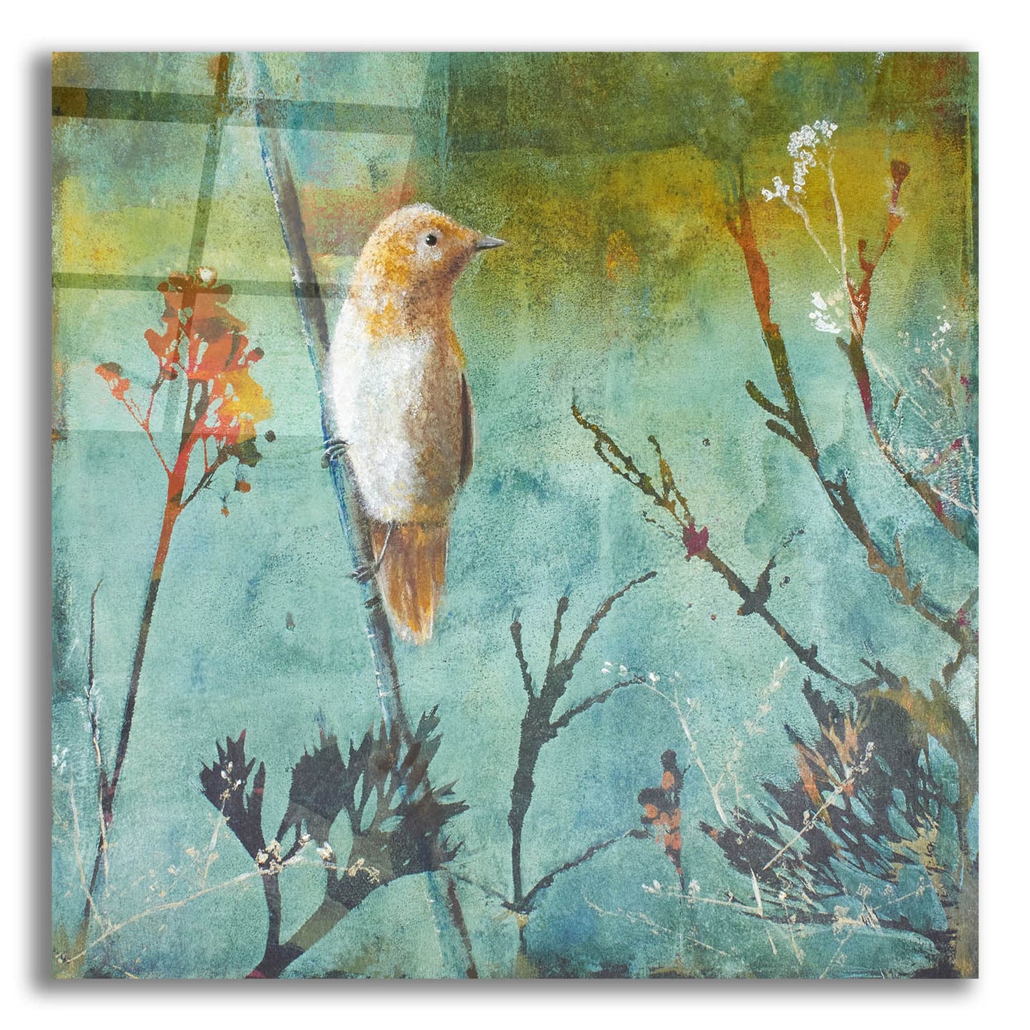 Epic Art ' Australian Reed Warbler' by Trudy Rice, Acrylic Glass Wall Art