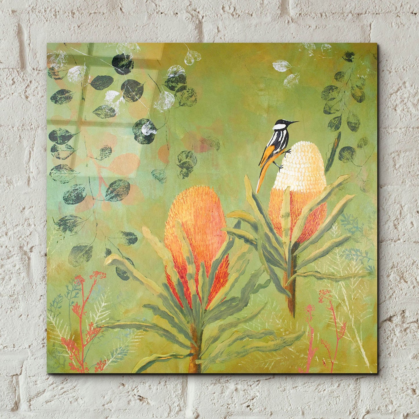 Epic Art ' New Holland Honeyeater upon the Victoria' by Trudy Rice, Acrylic Glass Wall Art,12x12