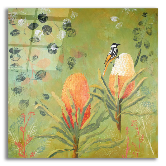 Epic Art ' New Holland Honeyeater upon the Victoria' by Trudy Rice, Acrylic Glass Wall Art