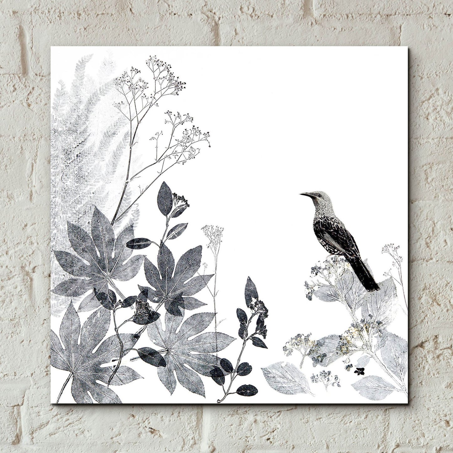 Epic Art ' Thoughtful Wattlebird' by Trudy Rice, Acrylic Glass Wall Art,12x12