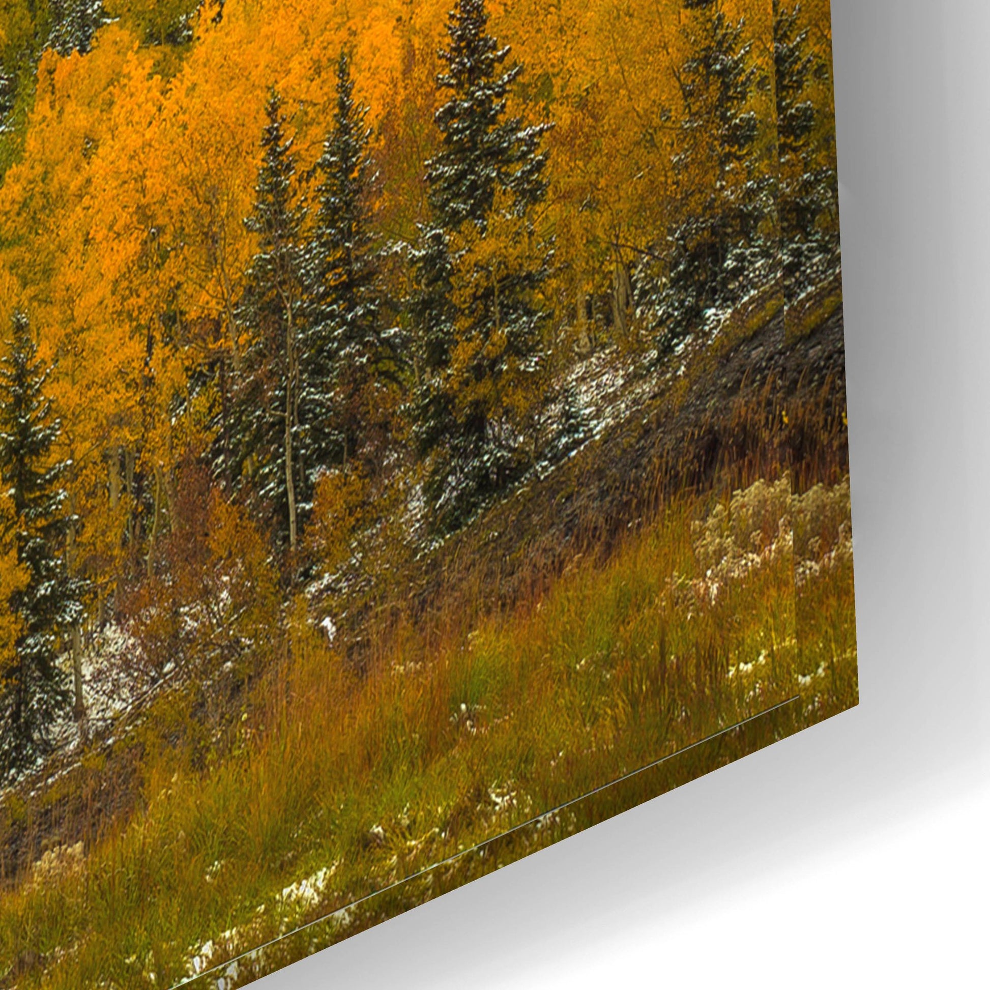 Epic Art 'A Rocky Mountain Autumn' by Bill Sherrell, Acrylic Glass Wall Art,24x16