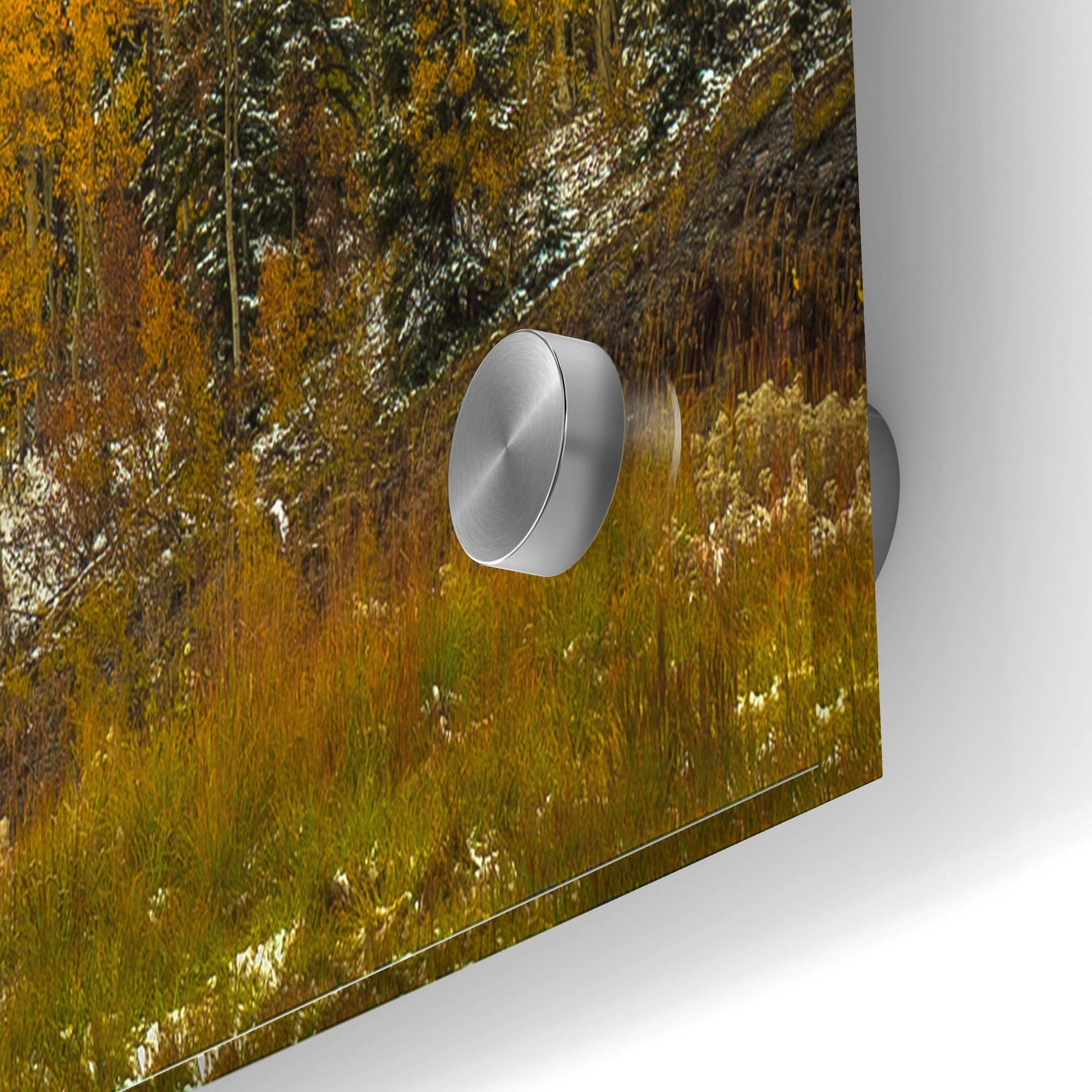 Epic Art 'A Rocky Mountain Autumn' by Bill Sherrell, Acrylic Glass Wall Art,36x24