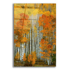 Dalmatian Autumn by Bill Sherrell acrylic glass wall art
