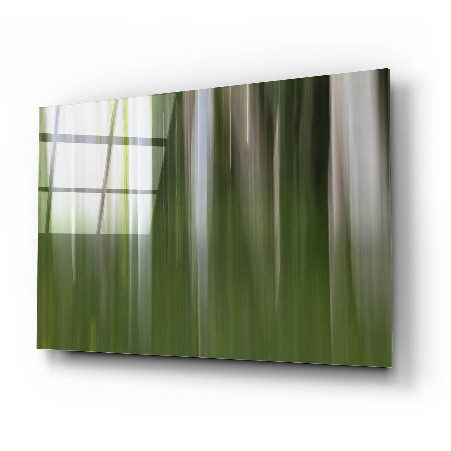 Epic Art 'Aspen Forest In The Spring V1' by Bill Sherrell, Acrylic Glass Wall Art,24x16