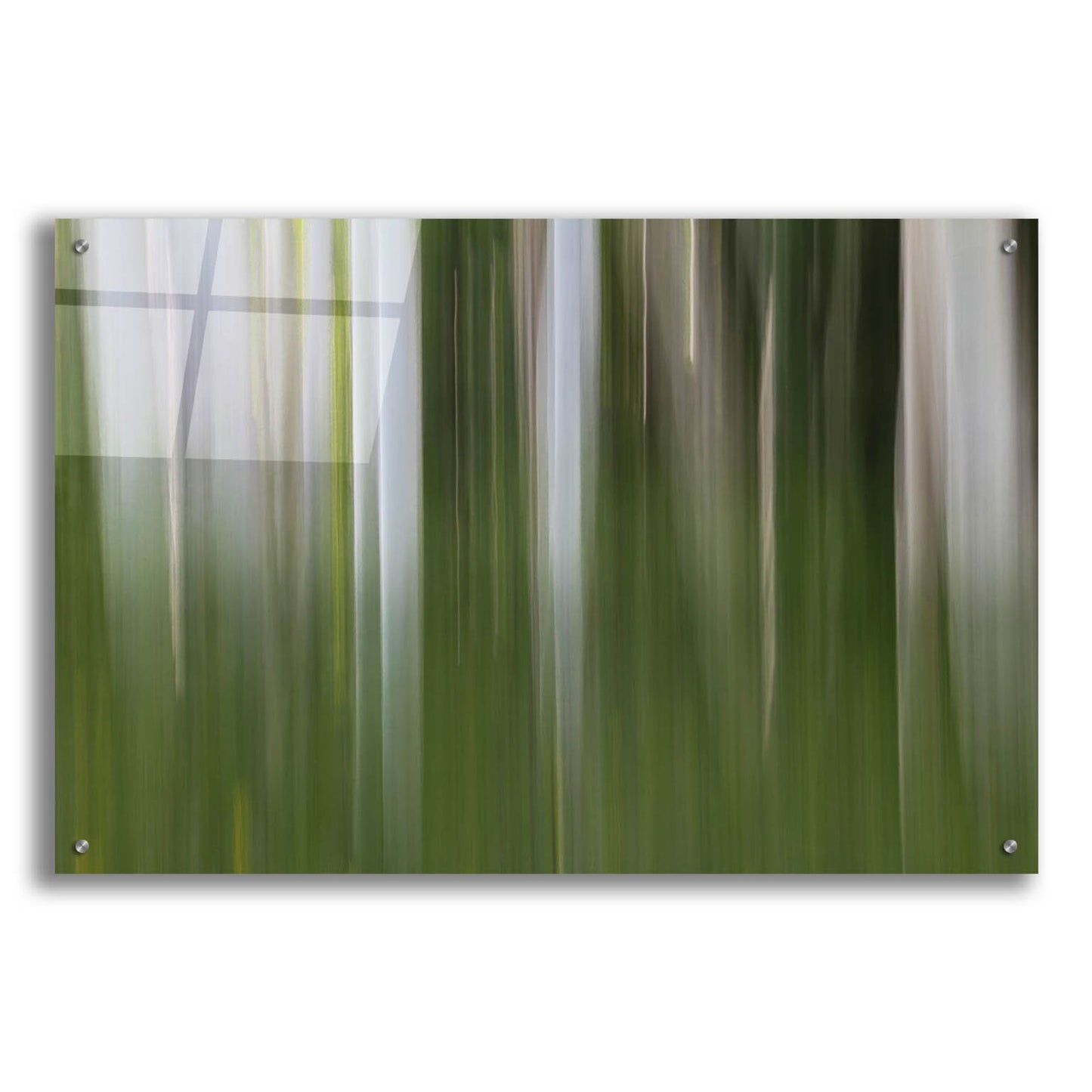 Epic Art 'Aspen Forest In The Spring V1' by Bill Sherrell, Acrylic Glass Wall Art,36x24