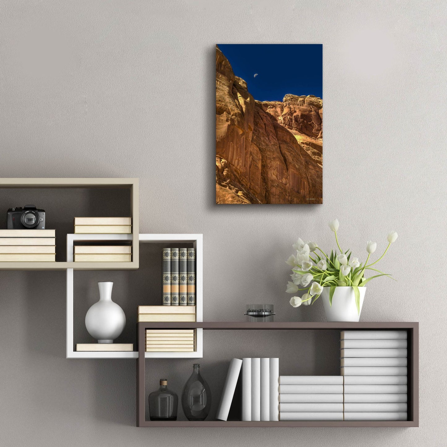 Epic Art 'Towering Moon' by Bill Sherrell, Acrylic Glass Wall Art,16x24