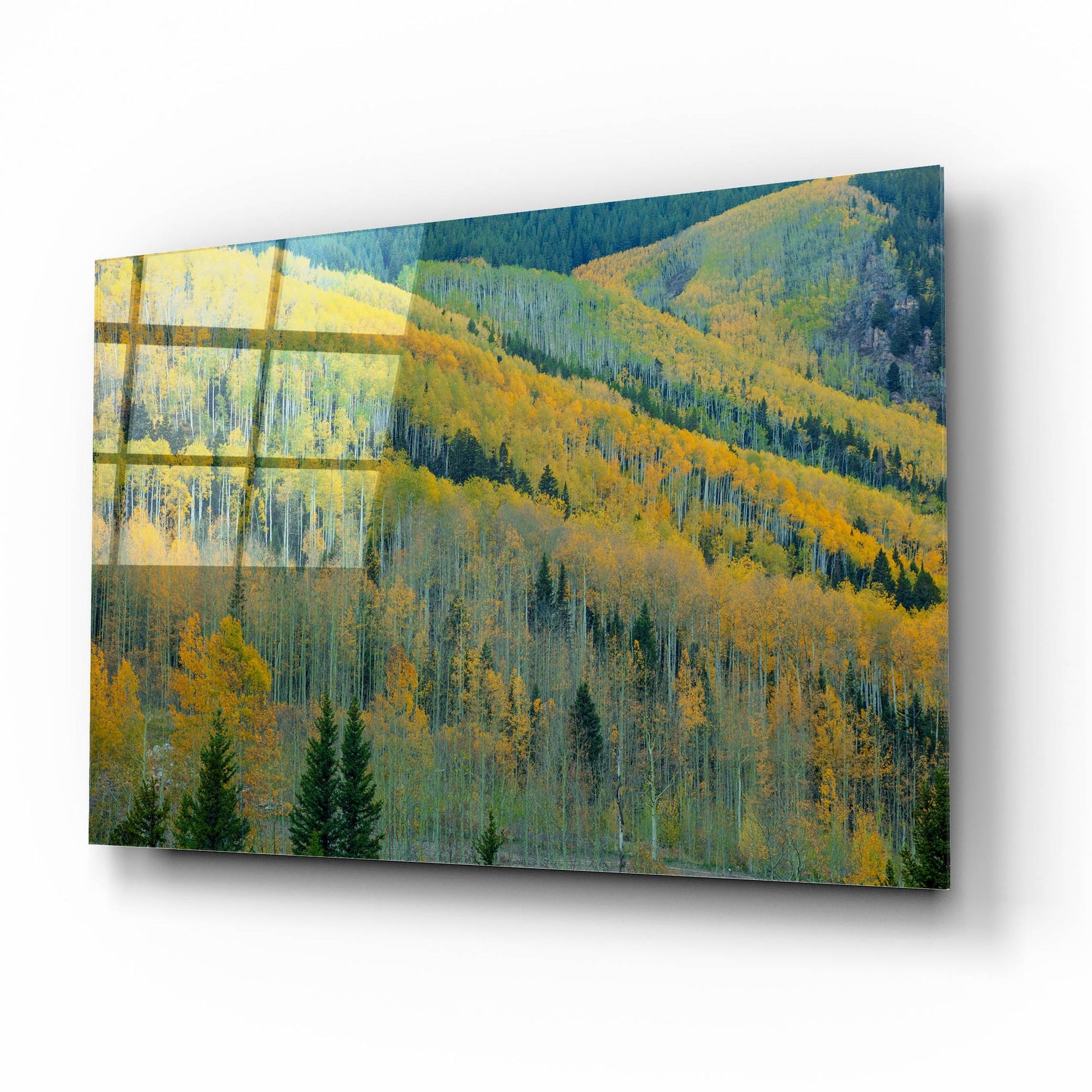 Epic Art 'Aspen Escalators' by Bill Sherrell, Acrylic Glass Wall Art,16x12
