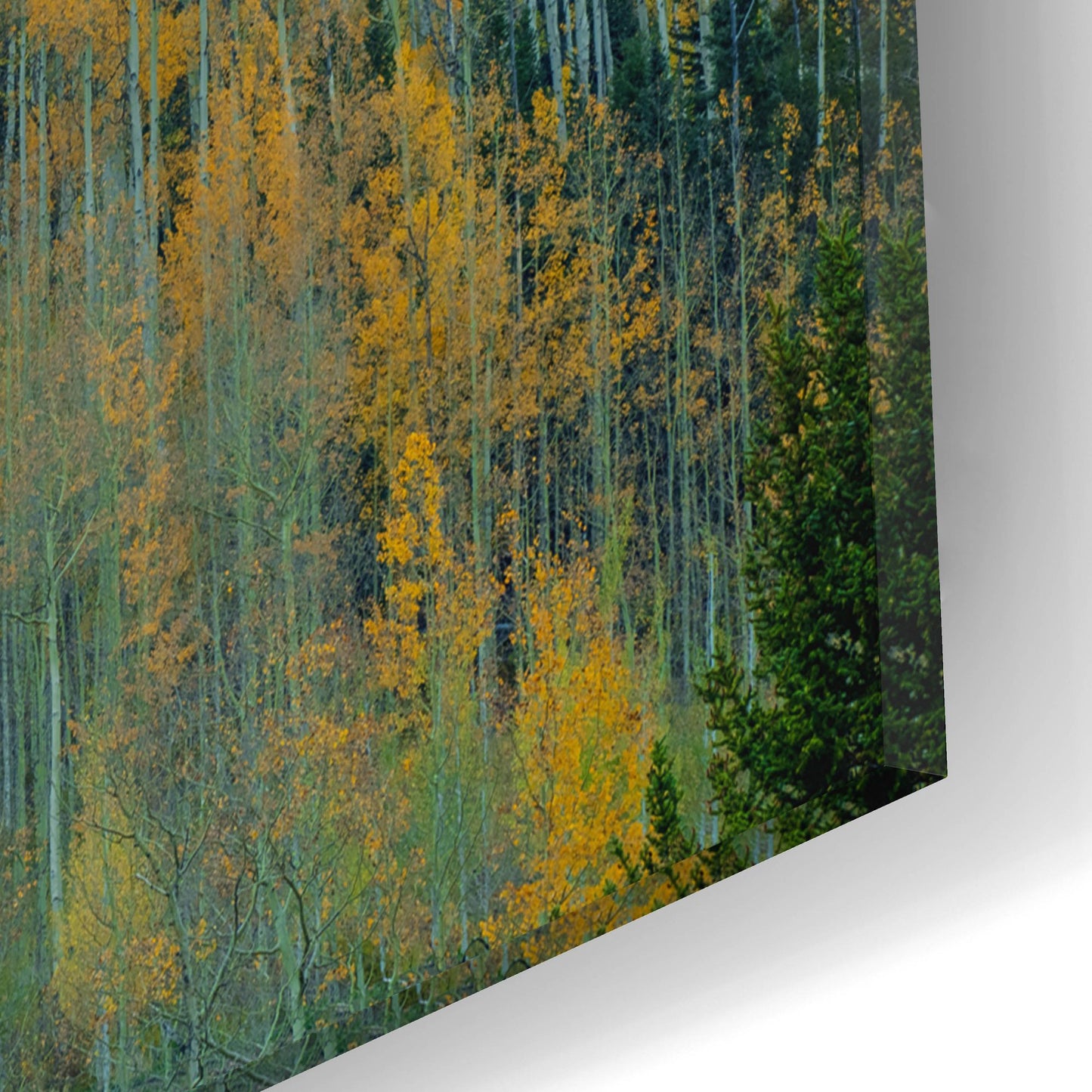 Epic Art 'Aspen Escalators' by Bill Sherrell, Acrylic Glass Wall Art,16x12