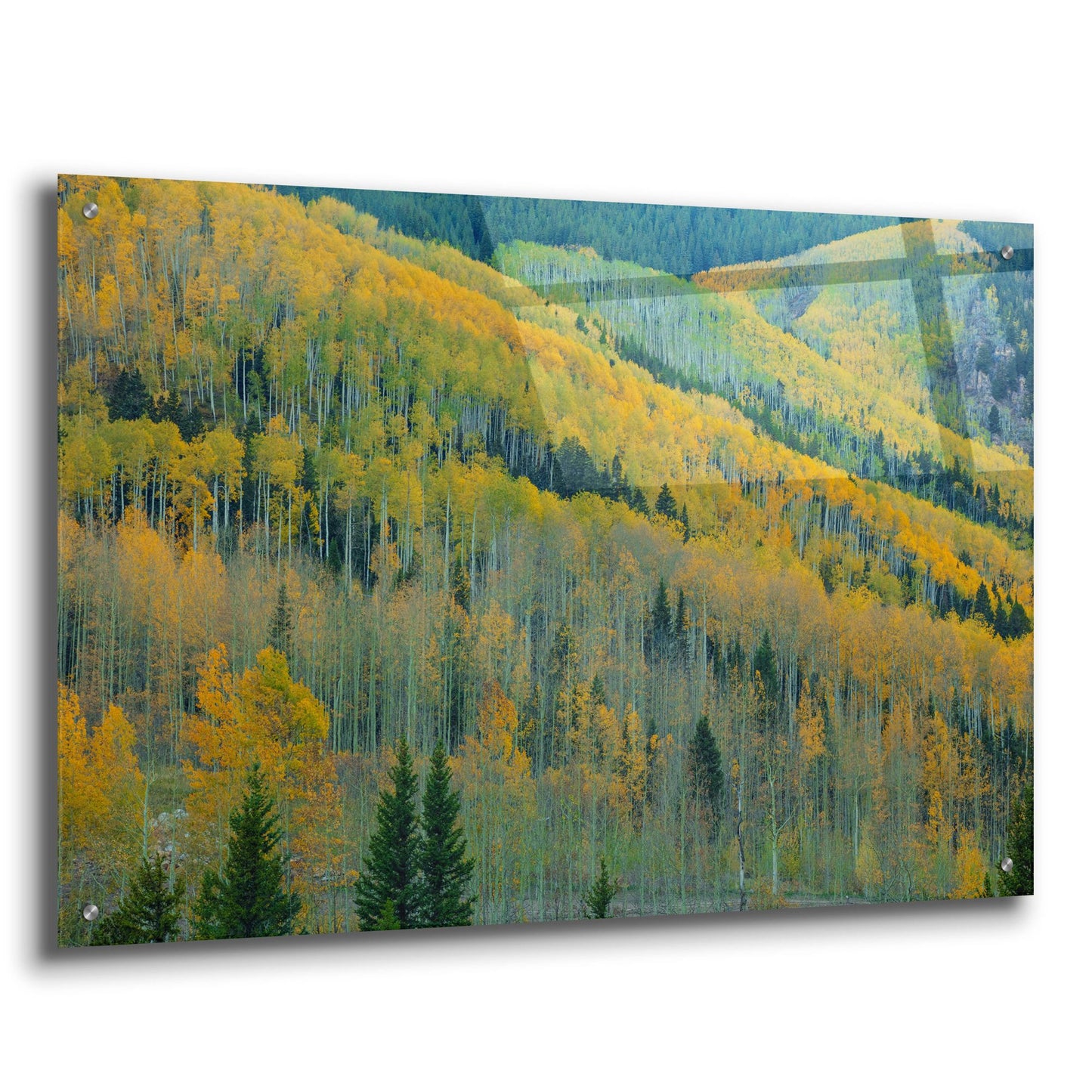 Epic Art 'Aspen Escalators' by Bill Sherrell, Acrylic Glass Wall Art,36x24